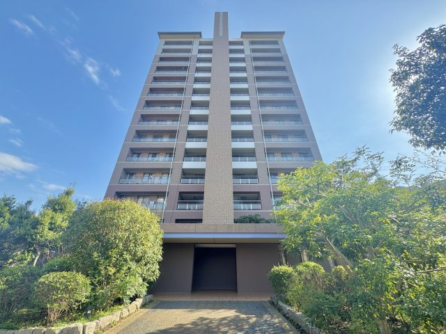 外観：314002695250