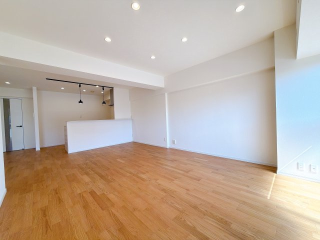 LDKです。　南側から光が差し込むのでとても明るいです◎