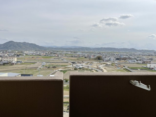 展望