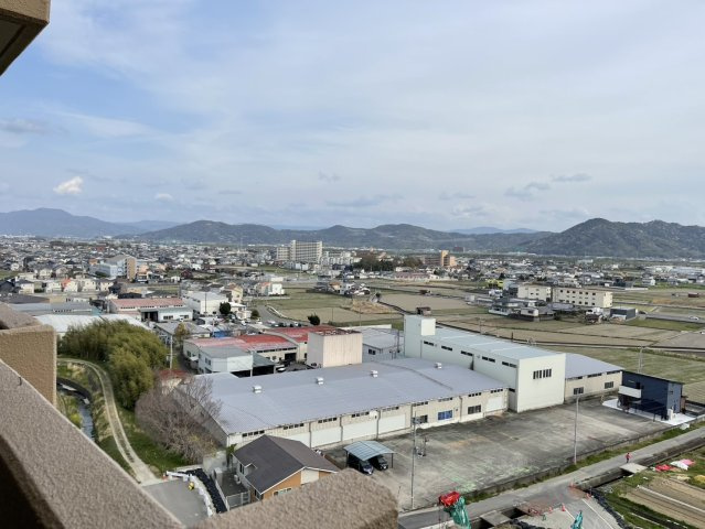 展望