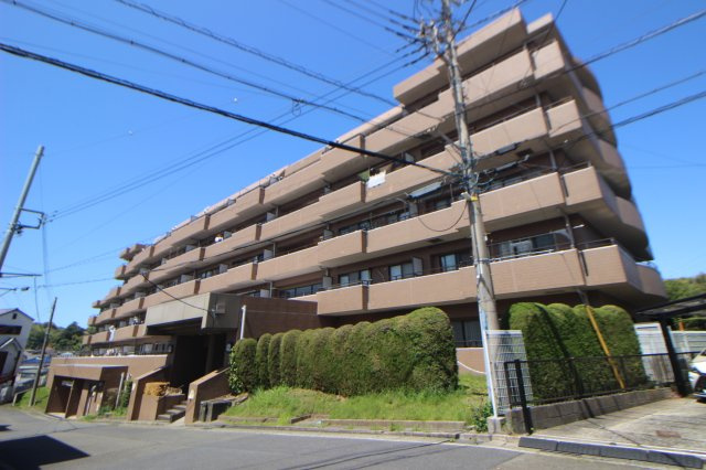 外観：314002675250