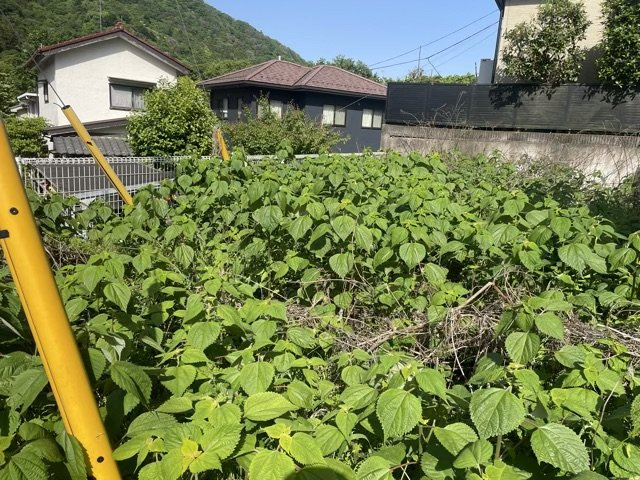 土地購入を検討されている場合、境界杭がない状態で購入してしまうと境界確定測量をする必要があり、費用がかかります。購入の前に、売主、隣土地所有者立ち合いのもと境界を確定し境界杭を設置するのがベストです。