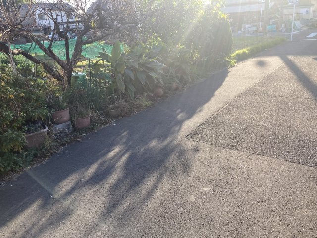 前面道路含む現地写真