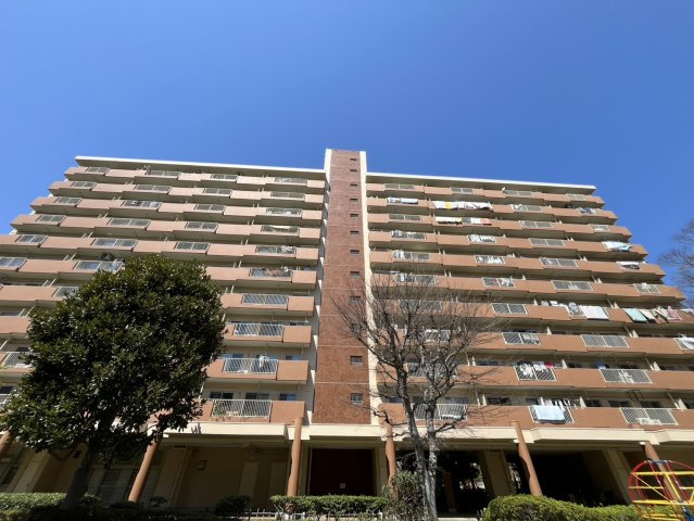 外観：312001297805