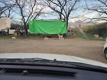 どうぶつむらまで徒歩18分