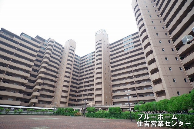 外観：327002170611