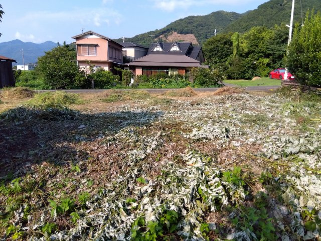 緑豊かな場所にあります。自然を身近に感じる事が出来ます。