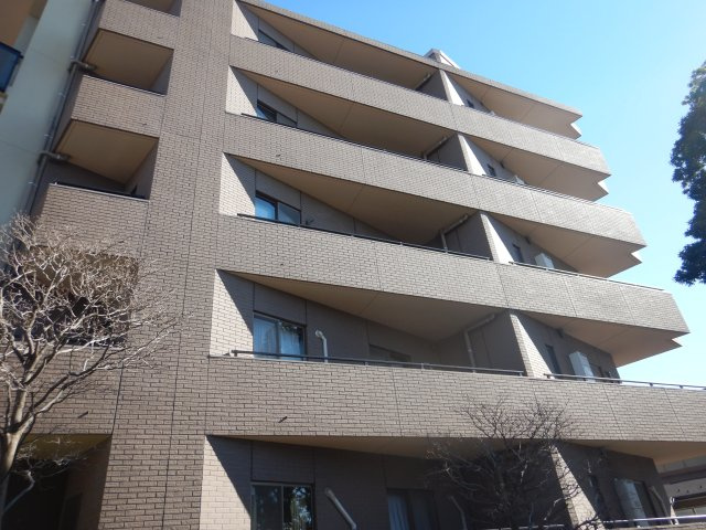 外観：313004695695