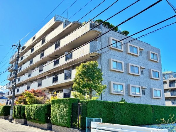 外観：313004496540