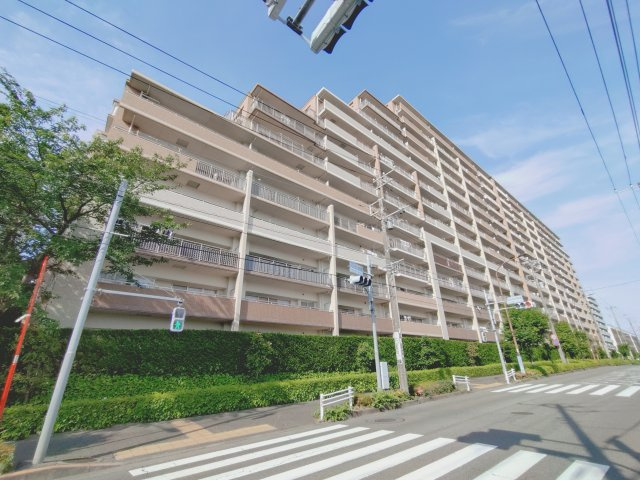 外観：313004763519
