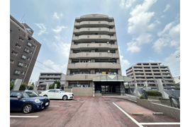 ライオンズマンション廿軒家の外観