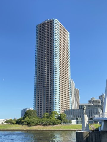 外観：313004931515