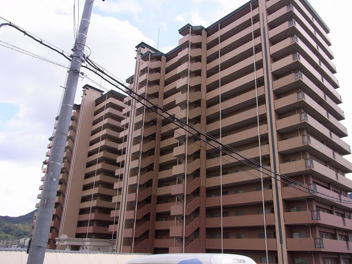 外観：334000252699