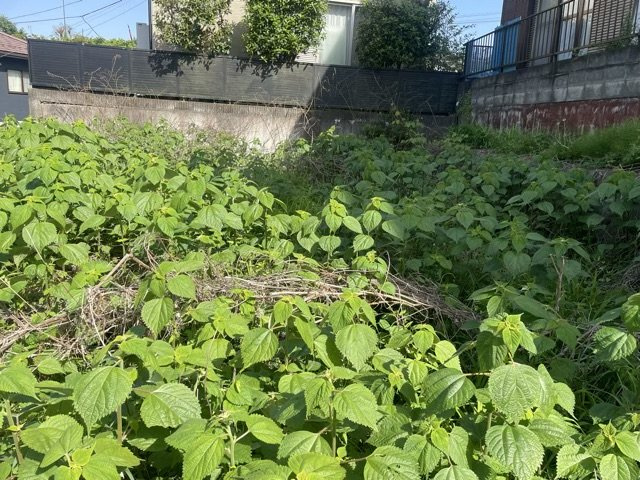 土地の面積＝住宅面積ではありません。建ぺい率の問題などで、土地のある場所によって住宅を建てられる面積は限られています。高さもしかり、「土地」という言葉の中には、建築条件も含まれると考えておきましょう。