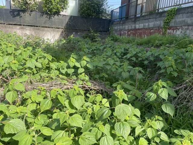 家を建てる場合、方位は要チェックです。現実的に日当たりのよい家ならばリビングは南側、建築基準法でも北側に当たる家への配慮は求められています。土地を見学に行く際は、方位磁針を持って行くようにしましょう。