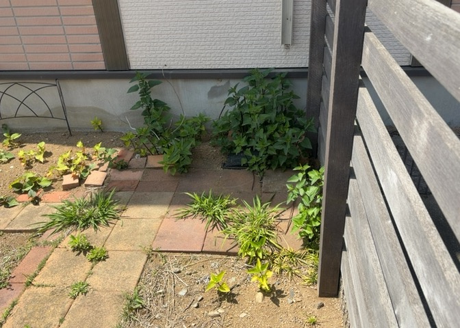 敷地内に散水栓や立水栓があると便利です。水道水を直接利用できるため、水を運ぶ手間を省くことが出来ます。大量の水を必要とする洗車作業や清掃などに役立ちます。その他設備とあわせて、現地でご確認ください。