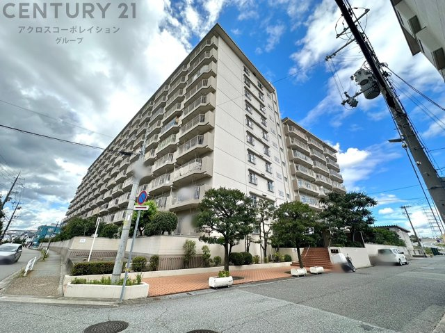 外観：328000546518