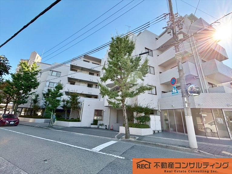 外観：328000621499