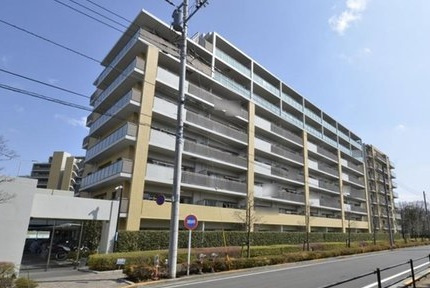 外観：313004699847