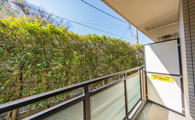 植栽の緑に癒されます