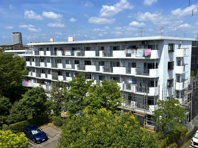 外観：313004579018