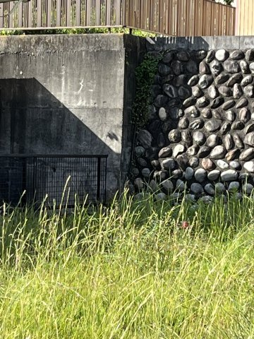 北側隣地との境