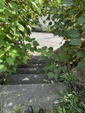 52の階段上から