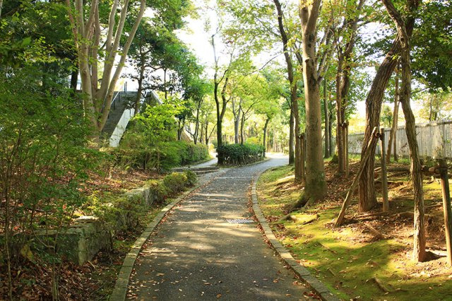 整備された歩道　お子様の移動不安も減ります！