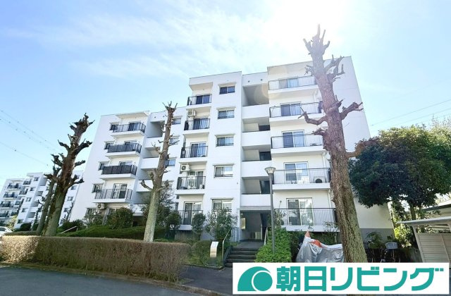 外観：314002674422