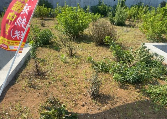土地を買う際、住む地域の自治体や福祉の補助制度にも注目してみましょう。子供や老人の医療補助やゴミ出しのルールなど、自治体によってルールに大きな違いがあるため、暮らしやすい土地で判断するとよいでしょう。