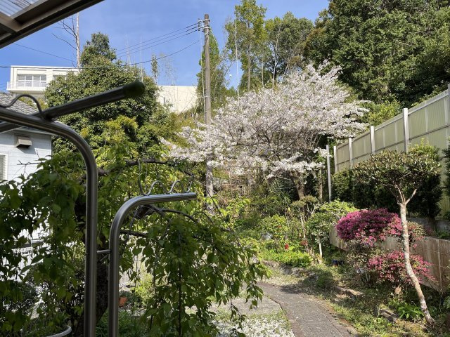 四季を感じられる緑豊かなお庭。家庭菜園やガーデニングも楽しめます♪