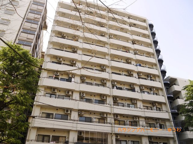 外観：313004777579