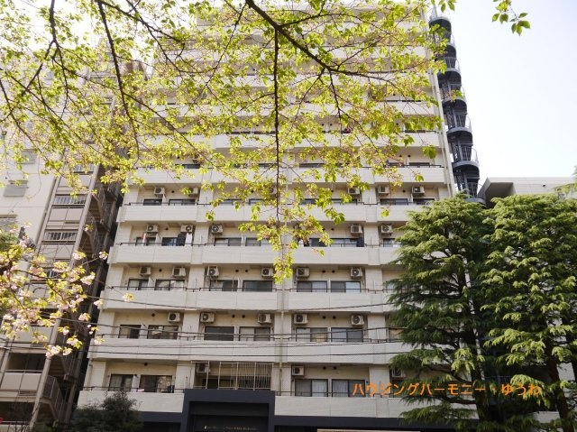 平成築の新耐震基準適合マンション！太陽に愛された邸は、陽当り・通風に優れた魅力的で快適さを追求した邸宅。