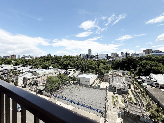 展望