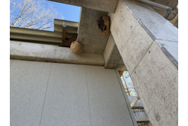 甲斐市亀沢　売地の外観