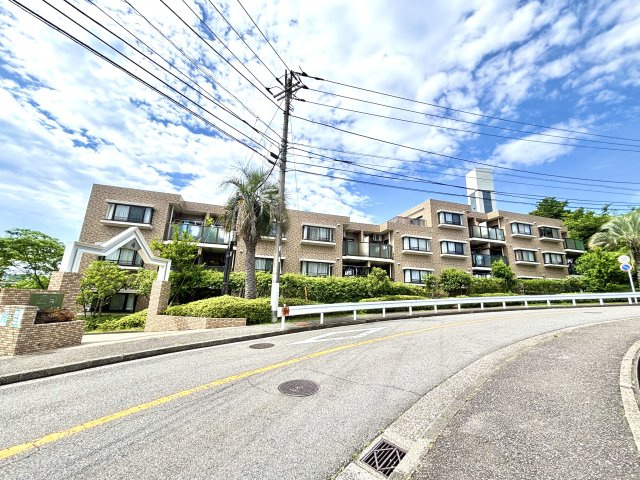 外観：314002591125