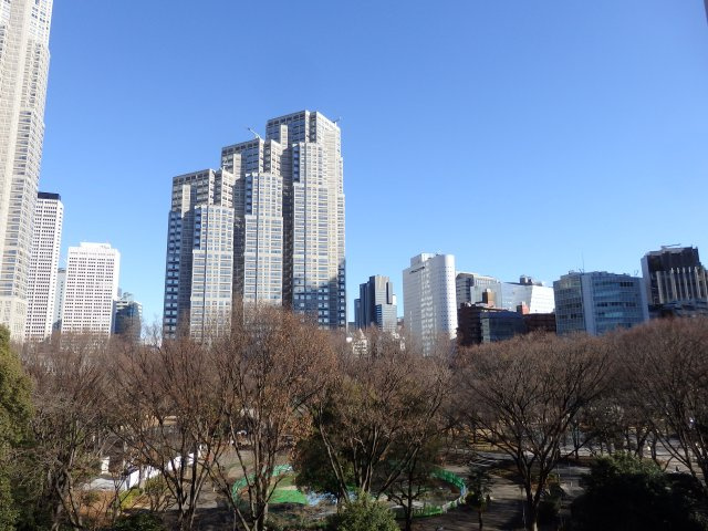 バルコニーから新宿中央公園や西新宿の高層ビル群を望めます