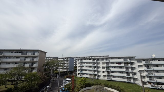 展望