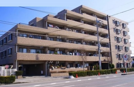 外観：312001167885