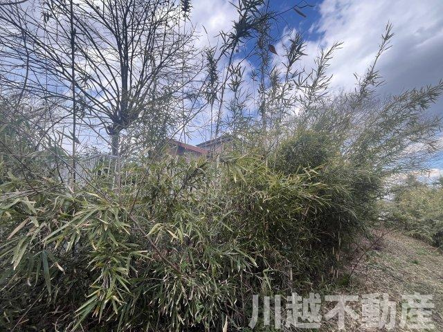 宅地部分のほかに山林部分も所有できます
