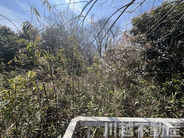 宅地部分のほかに山林部分も所有できます