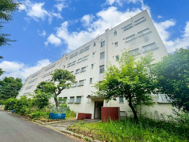 外観：313004751763