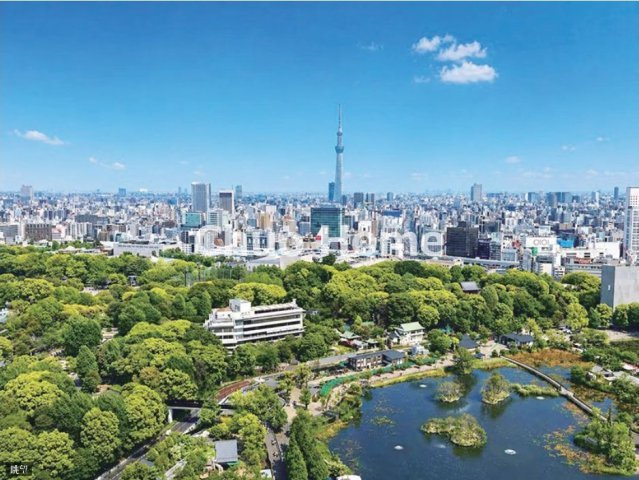 手を伸ばせば、ふれることが出来そうな環境が、そのままインテリアになったような印象です。その豊かな眺望にふさわしい空間には、通風・採光にも優れ、心地よい光と風があふれています