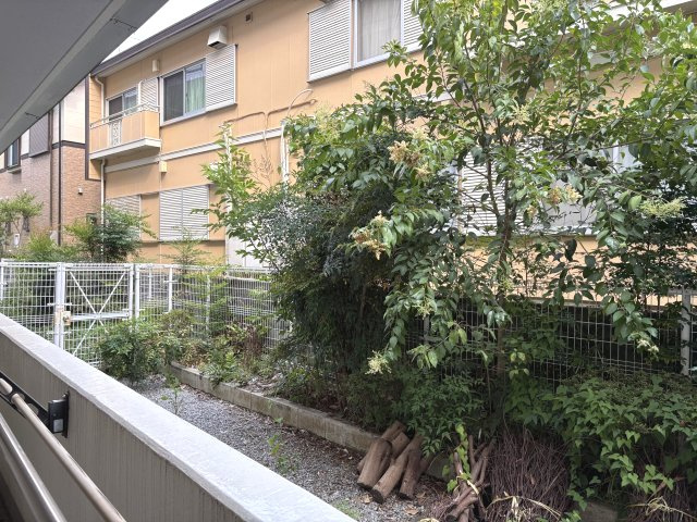 展望