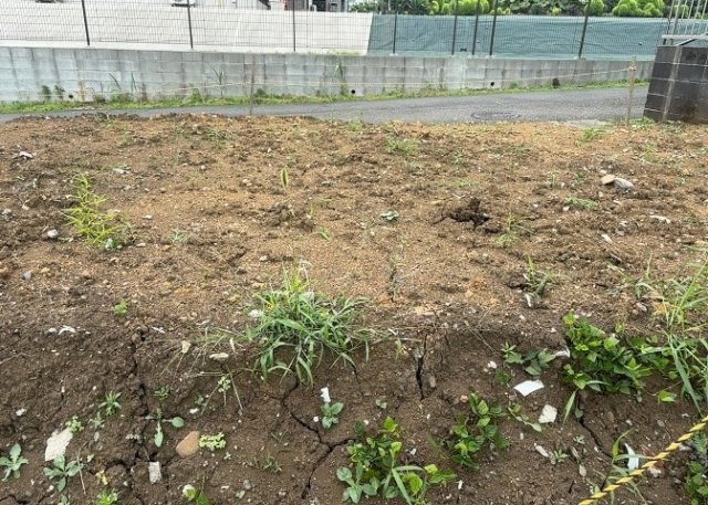 土地探しをしていると都市計画区域という言葉を目にすると思います。法律によって、都道府県知事や国土交通大臣が指定するエリアのことを指しており、都市計画区域は市街化区域と市街化調整区域に分けられています。