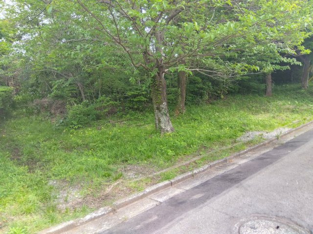 外観：322000549646