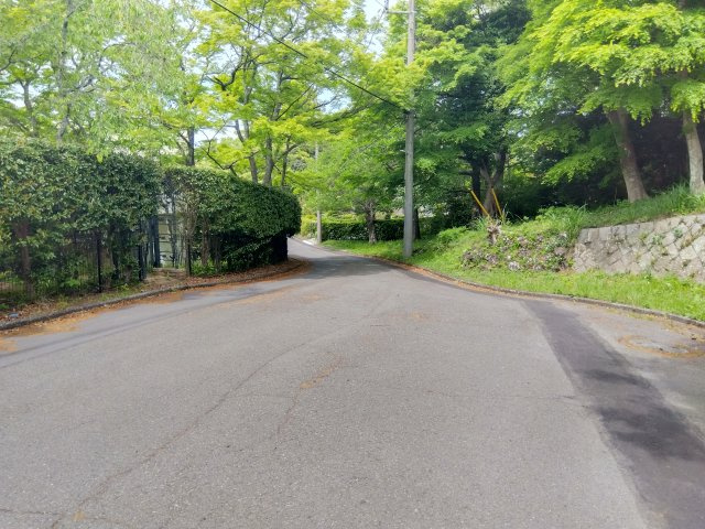 近くに一碧湖があります。湖の周りはお散歩コースにおすすめです。水上アクティビティも楽しめます。