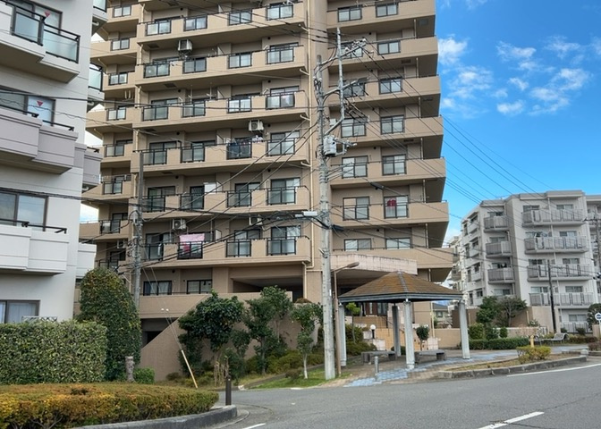 外観：314002593481