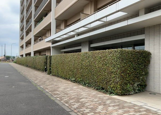 物件によっては、入居者が個人的に使用できる専用庭がついているものもあります。また、住宅の中にある土間の部分を庭と呼ぶこともあります。庭の用途は住む人によって変わり、それによってデザインもさまざまです。