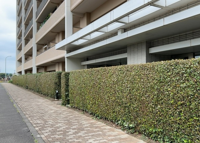中庭（パティオ）とは、一つの建築物の内部に設けられた、壁などで囲われている庭のことを指します。コの字型、ロの字型が主流ですが、L字型の中庭もあります。最近では、インテリア性の高さからも人気があります。